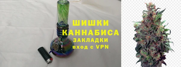 прущие грибы Баксан