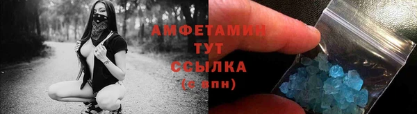 прущие грибы Баксан