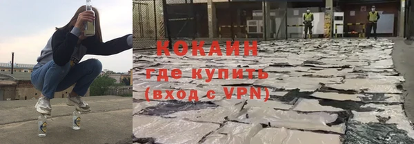 прущие грибы Баксан